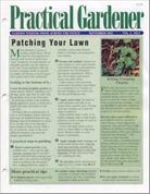 Practical Gardener